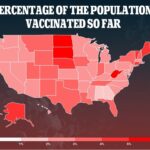 How many in n outs are there in Texas?