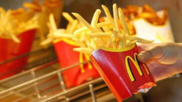 How many ingredients are in maccas fries?