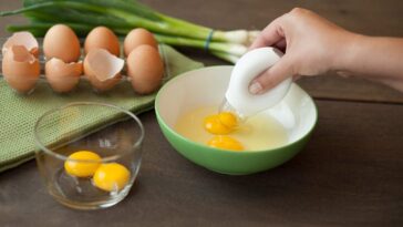 How many omelettes can I eat a day?