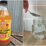 How much apple cider vinegar with mother should you drink a day?