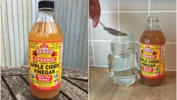 How much apple cider vinegar with mother should you drink a day?