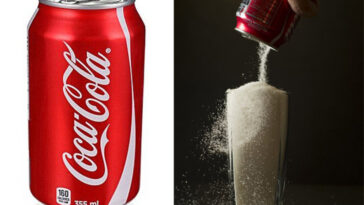 How much do Coke vendors make?