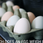 How much does a egg weigh?