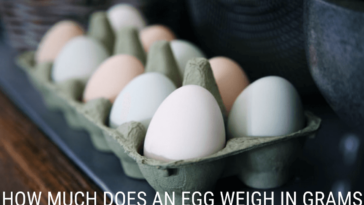 How much does a egg weigh?