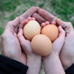 How much does a whole chicken usually weigh?