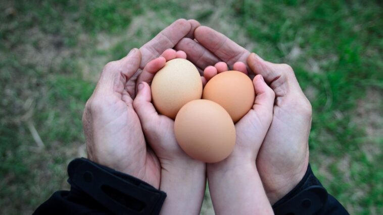 How much does a whole chicken usually weigh?