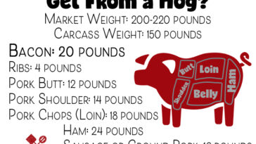 How much does bacon cost?