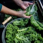 How much does kale shrink when cooked?