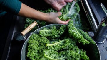 How much does kale shrink when cooked?