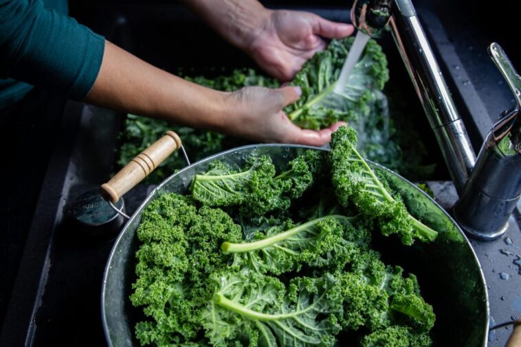 How much does kale shrink when cooked?