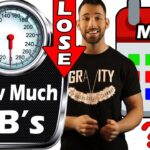 How much fat can I lose in 3 months?