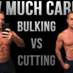 How much fat is in a champ?