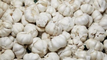 How much garlic is toxic?
