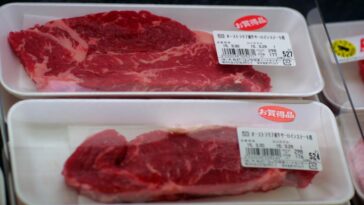 How much is beef kidney per pound?