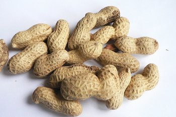 How much is too much peanuts?