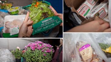 How much meat do grocery stores throw away?