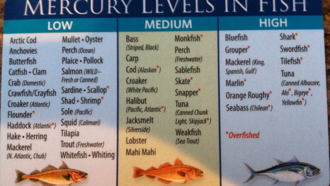 Which fish is lowest in mercury?