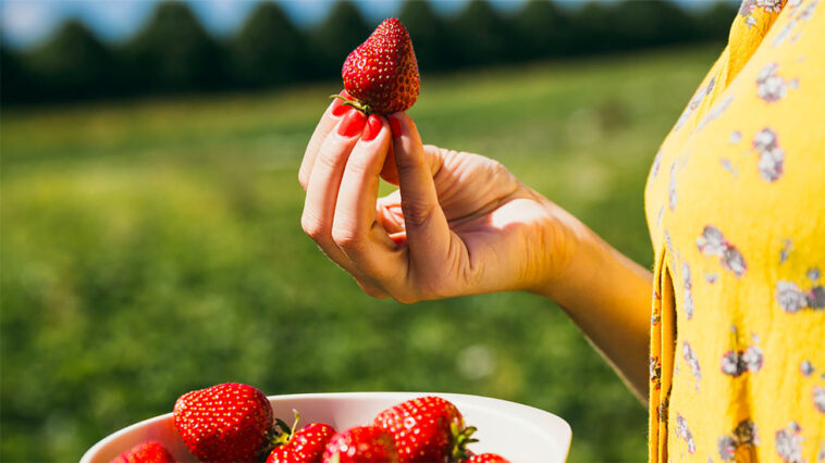 How much phenylalanine can I take a day?