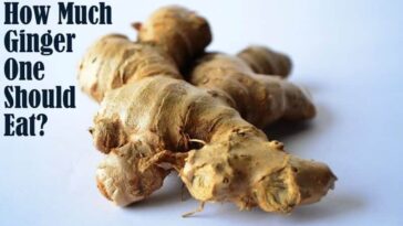 How much raw ginger should I eat a day?