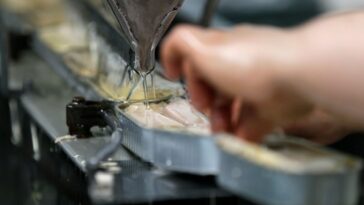 How much tuna is too much per week?