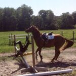 How often do people get hurt riding horses?