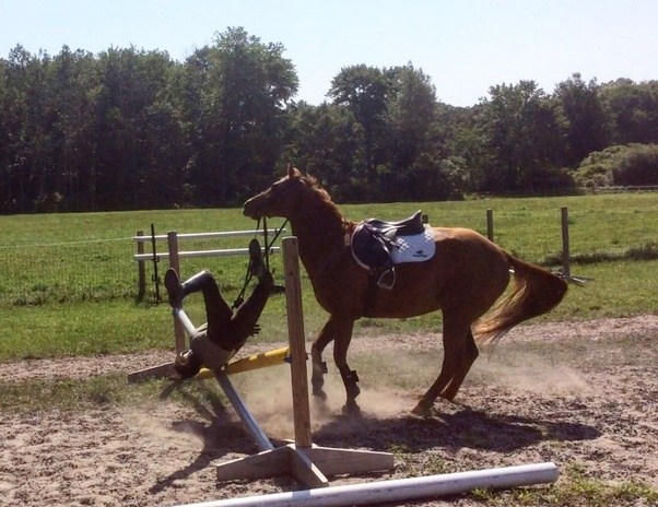 How often do people get hurt riding horses?