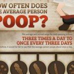 How often should you poop?