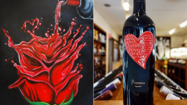 Is 1 2 bottle of wine a day too much?