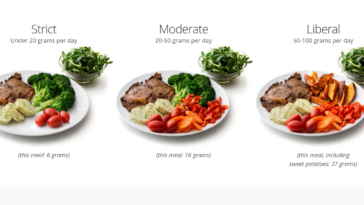 Is 100 carbs a day low carb?