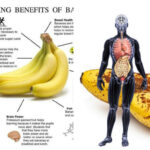 Is 2 bananas a day too much?