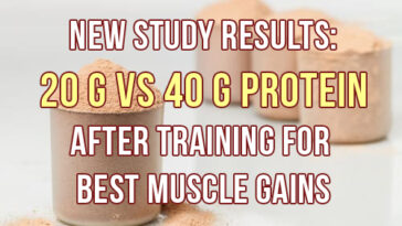 Is 20g of protein enough after a workout?