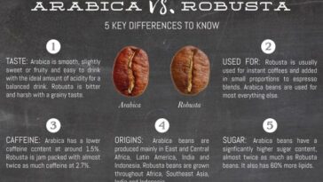 Is Arabica or Robusta better?