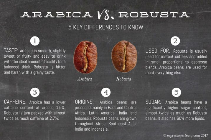 Is Arabica or Robusta better?