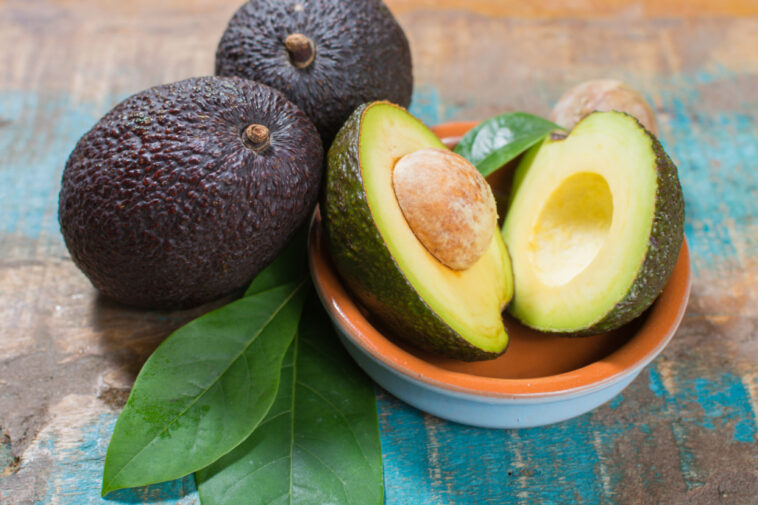 Is Avocado a nightshade?