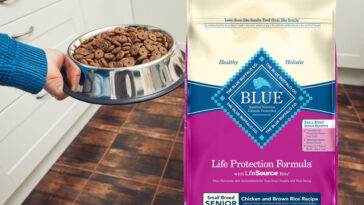 Is Blue Buffalo killing dogs?