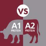 Is British milk A1 or A2?