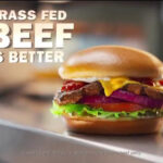 Is Carl's Jr better than Burger King?