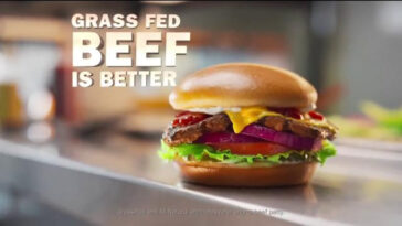 Is Carl's Jr better than Burger King?