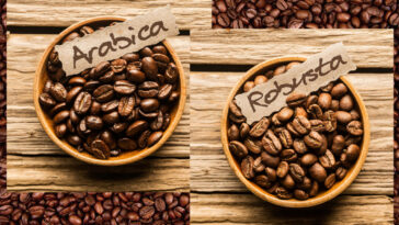 Is Colombian Coffee Arabica or Robusta?