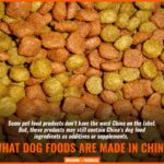 Is Costco dog food made in China?