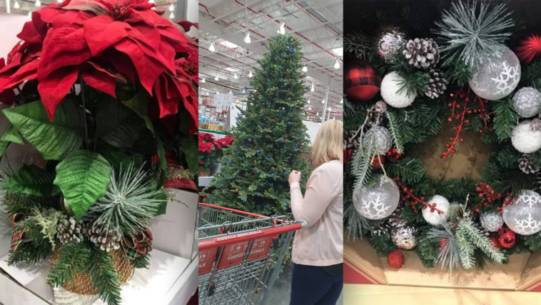 Is Costco selling Christmas trees this year?