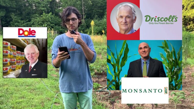 Is Driscoll owned by Dole?