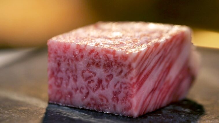 Is Epic Wagyu beef real?