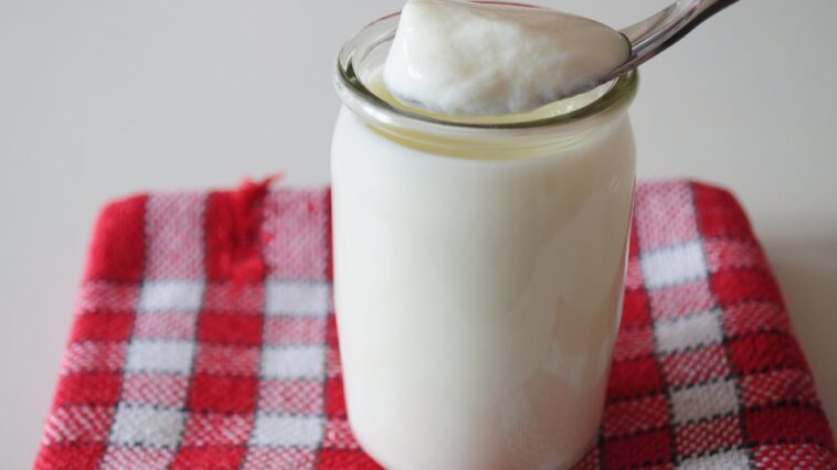 Is French yogurt healthy?