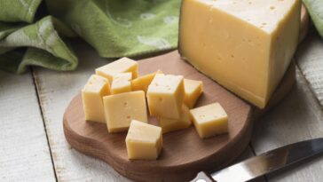 Is Gouda cheese a healthy cheese?