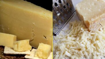 Is Gouda or cheddar healthier?
