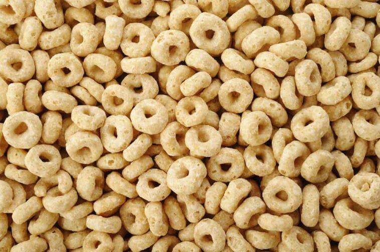 Is Honey Nut Cheerios vegan?