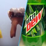 Is Mountain Dew worse than Coke?