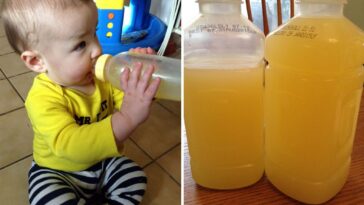 Is Pedialyte good for hangover?