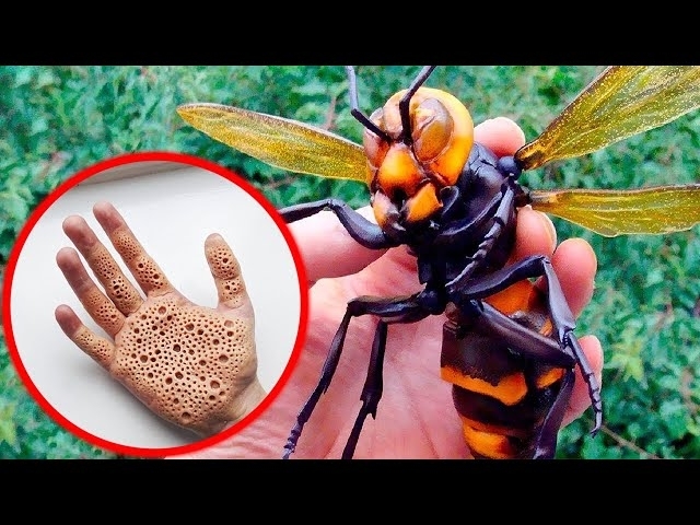 Is Pop harmful to humans?